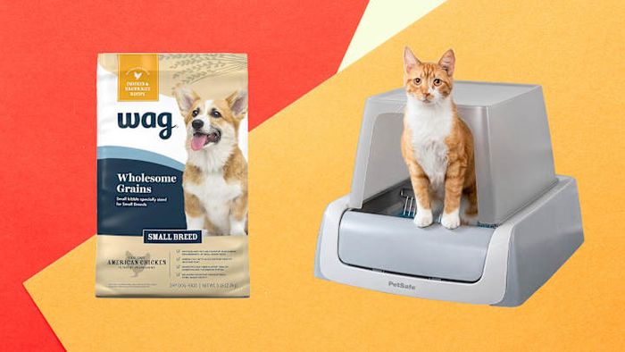 Prime Day isn’t just for humans—your furry friends can also benefit from incredible savings.