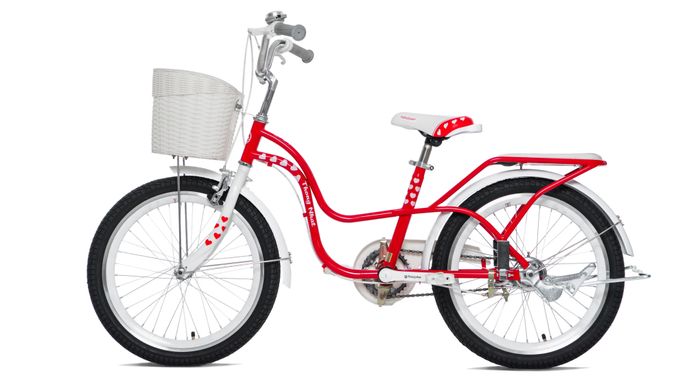 Xe Đạp Trẻ Em Nữ Thống Nhất Neo 20-04 20 inch (Có giỏ xe) - Thiết kế