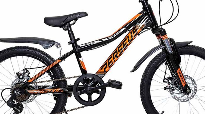 Xe đạp địa hình MTB Thống Nhất MTB 20-04 20 inch Cam có khung sườn cứng cáp