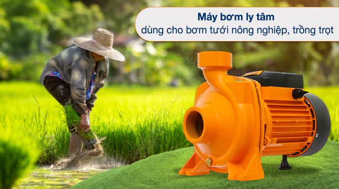 Máy bơm nước ly tâm Ingco MHF15001 1500W - Tổng quan thiết kế
