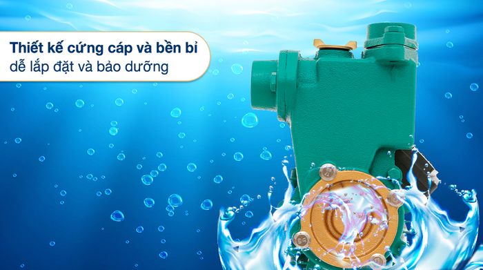 Máy bơm nước chân không Kangaroo KG380B 370W