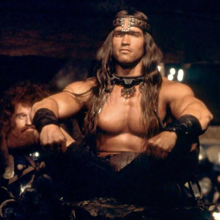Arnold Schwarzenegger as Conan the Barbarian.