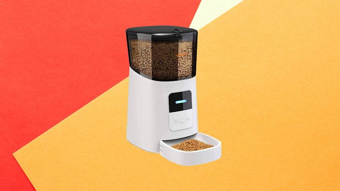 Prime Day's best pet deals: WOPET automatic pet food dispenser