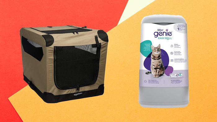 Top Prime Day Pet Deals: Litter Genie and Pet Travel Cases