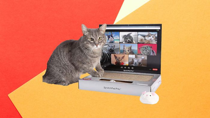 Prime Day's best pet deals: ScratchPad Pro Laptop Scratcher Cat Toy now $21 (Save $9)
