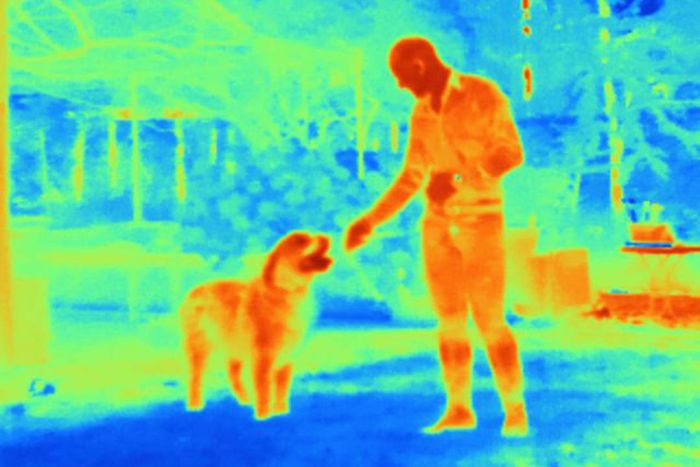 thermal image of a man and his dog