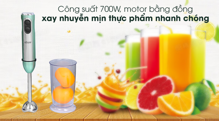 Máy xay sinh tố cầm tay Hommy HB818BC - Công suất