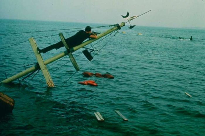 Roy Scheider in Steven Spielberg's Jaws (1975).