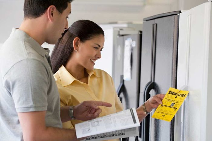 A woman selecting energy-efficient appliances.