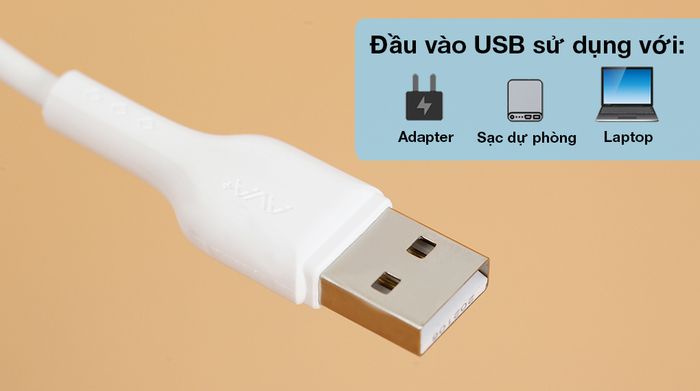 Cáp Lightning 1m AVA+ Kalf - Đầu vào USB