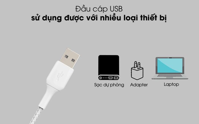 Dùng được với nhiều thiết bị - Cáp Lightning MFI 2m Belkin CAA002