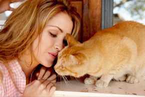 A woman cuddling with her cat.