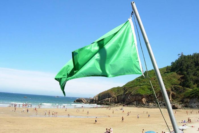 A green flag flying over the beach