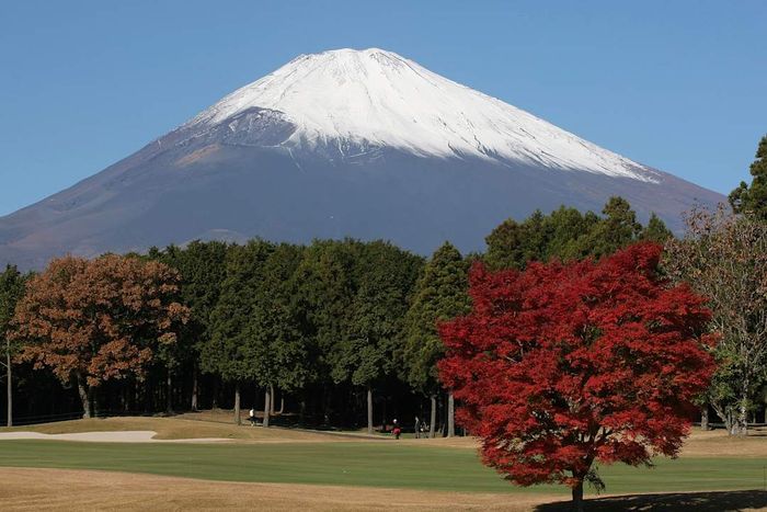 Snow-Capped Mount Fuji