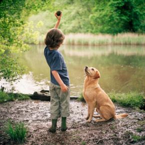 A boy playing with his dog by a lake.