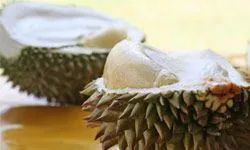 durian