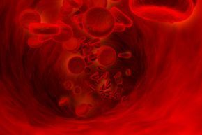 Blood cells moving through the circulatory system