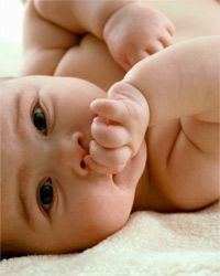 infant