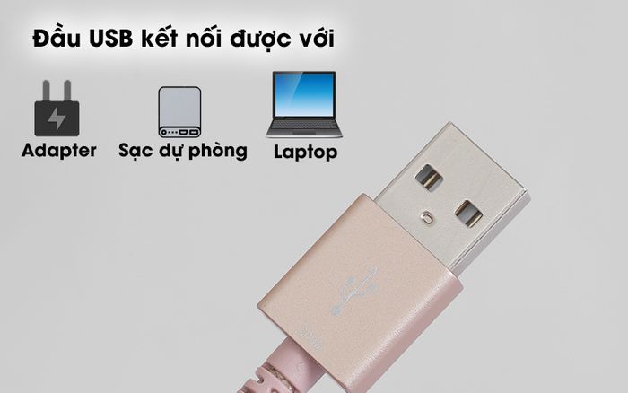 Cáp Lightning MFI 2m Mbest DS951-WB Gold - Đầu USB