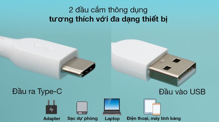 Cáp Type C 2m AVA+ DS08C - Tương thích với nhiều loại thiết bị khác nhau với 2 jack kết nối USB và Type-C
