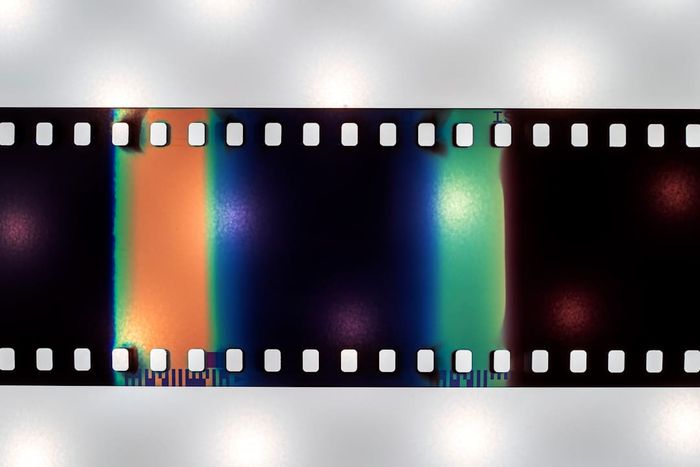 A strip of 35mm film