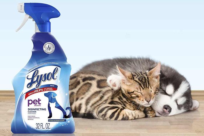 A cat and dog resting next to Lysol Pet Solutions Disinfecting Cleaner.
