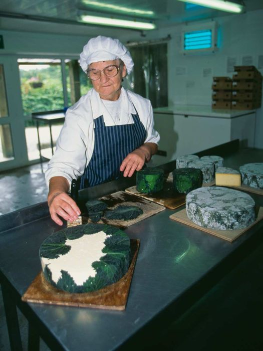 A woman carefully wrapping yarg cheese in nettles.