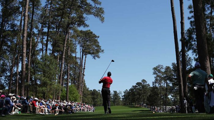 An image of Tiger Woods is shown