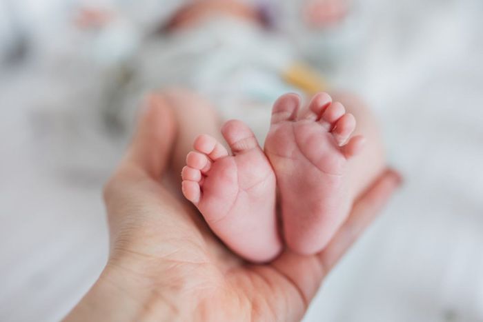 An adult’s hand gently holding the soles of a baby’s feet.
