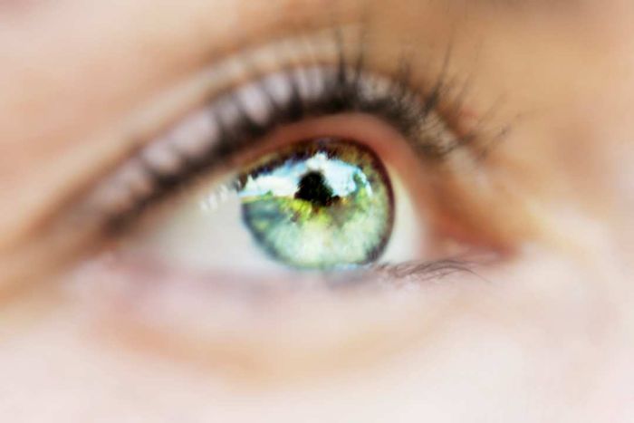 A close-up view of a green eye gazing upward