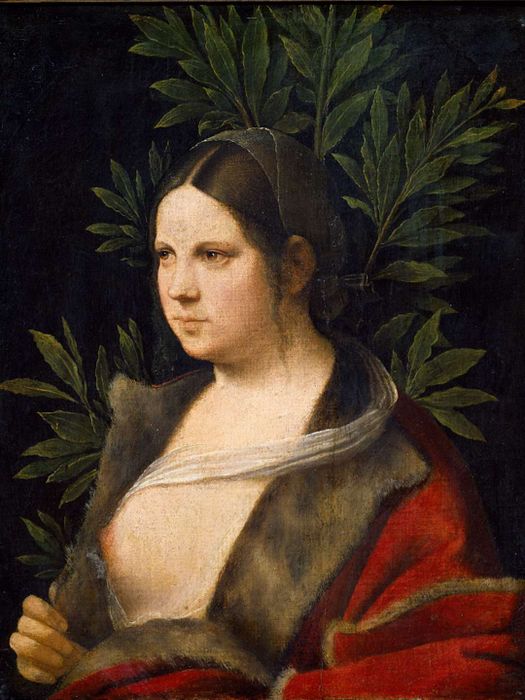Portrait of Laura de Noves - by Giorgione