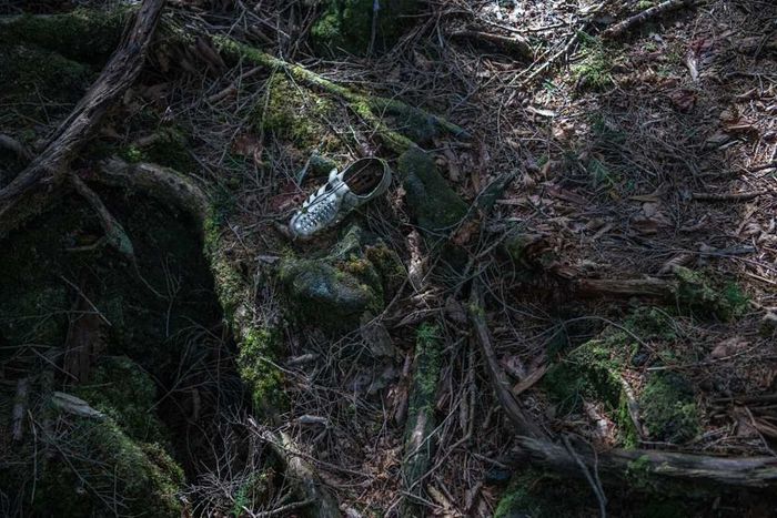 A solitary shoe left behind in Japan's Aokigahara forest.