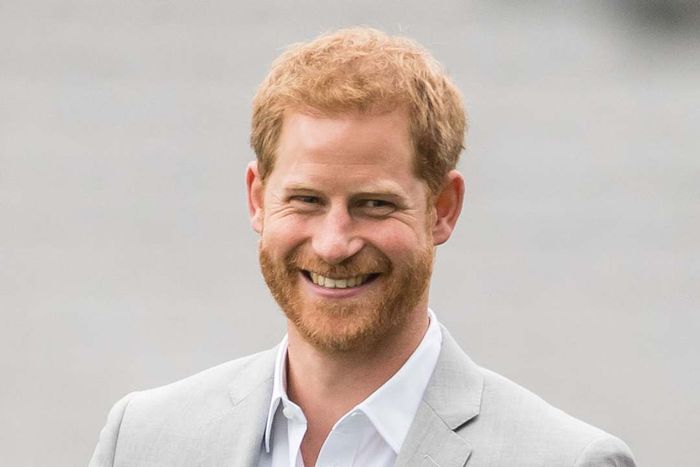 Prince Harry, formally known as Henry Charles Albert David.