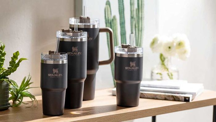 Top TikTok Picks Under $30: Stanley Adventure Quencher Travel Tumbler