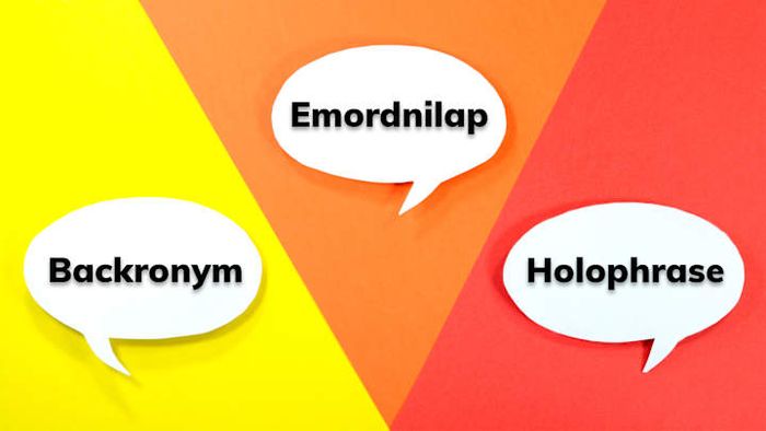 Are you familiar with these alternative terms for other words?