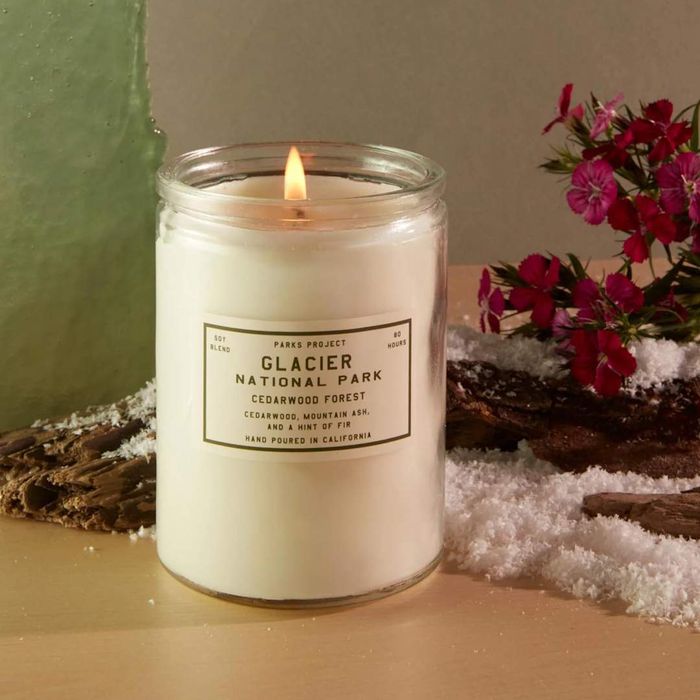 Best Soy Candles: Parks Project Glacier Cedarwood Forest Candle