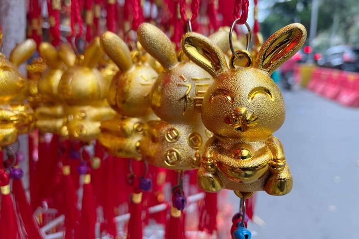 Symbols of Chinese New Year 2023: The Year of the Rabbit