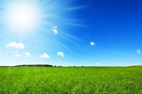 Golden sunlight, clear blue skies, and vibrant green grass.