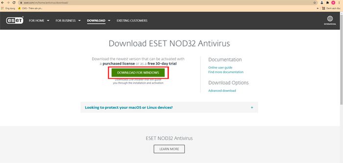 ESET NOD32 Antivirus cho Windows - Tải phần mềm ESET NOD32