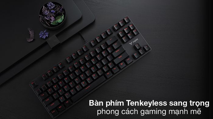 Tenkeyless - Bàn Phím Cơ Có Dây Gaming Rapoo V500alloy Đen