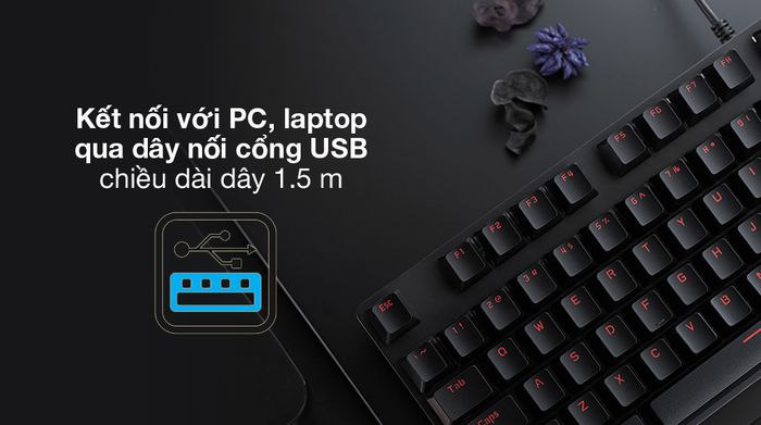 Cổng nối USB - Bàn Phím Cơ Có Dây Gaming Rapoo V500alloy Đen