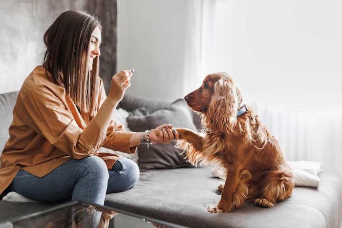 A young woman is rewarding her dog with treats