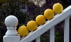 Lemons are among the numerous natural exfoliants available at your local grocery store.