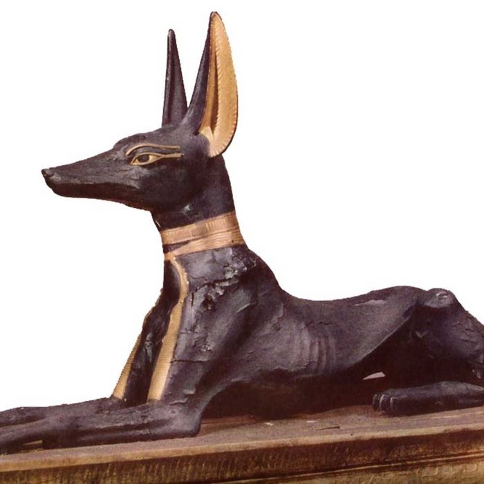 A depiction of Anubis, the deity with the head of a jackal.
