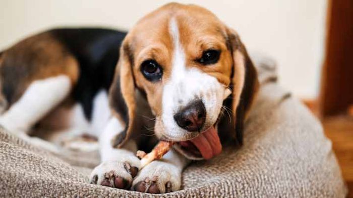 Watching them eat has never been this heart-meltingly cute.