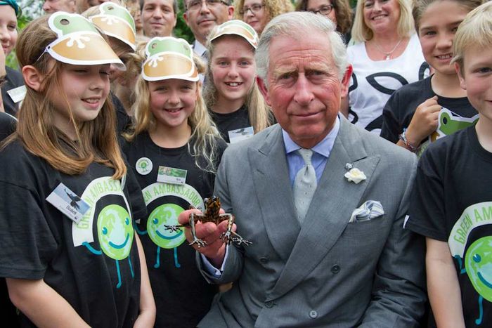King Charles is associated with an Ecuadorian stream tree frog species named 'Hyloscirtus princecharlesi.'