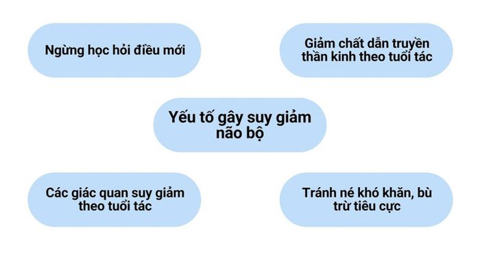 4 yếu tố ảnh hưởng đến sự suy giảm chức năng não bộ