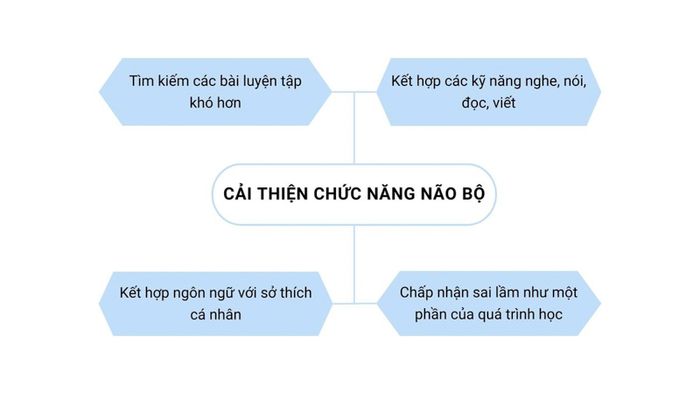 Nâng cao chức năng não bộ