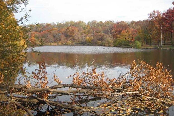 Van Cortlandt Park Lake located in the Bronx, NY