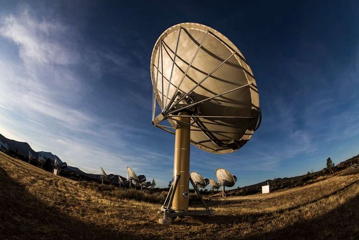 Radio telescope in the Allen Array.